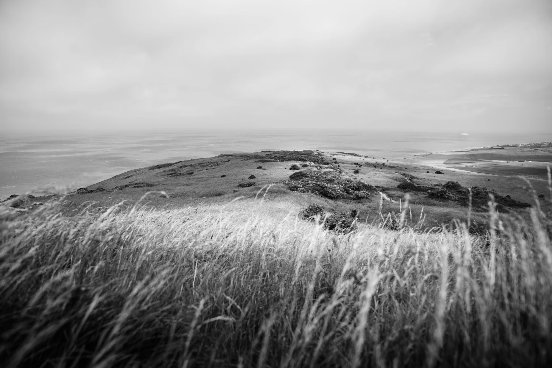 Tirage fine art N&B — Sentier sur une colline herbeuse