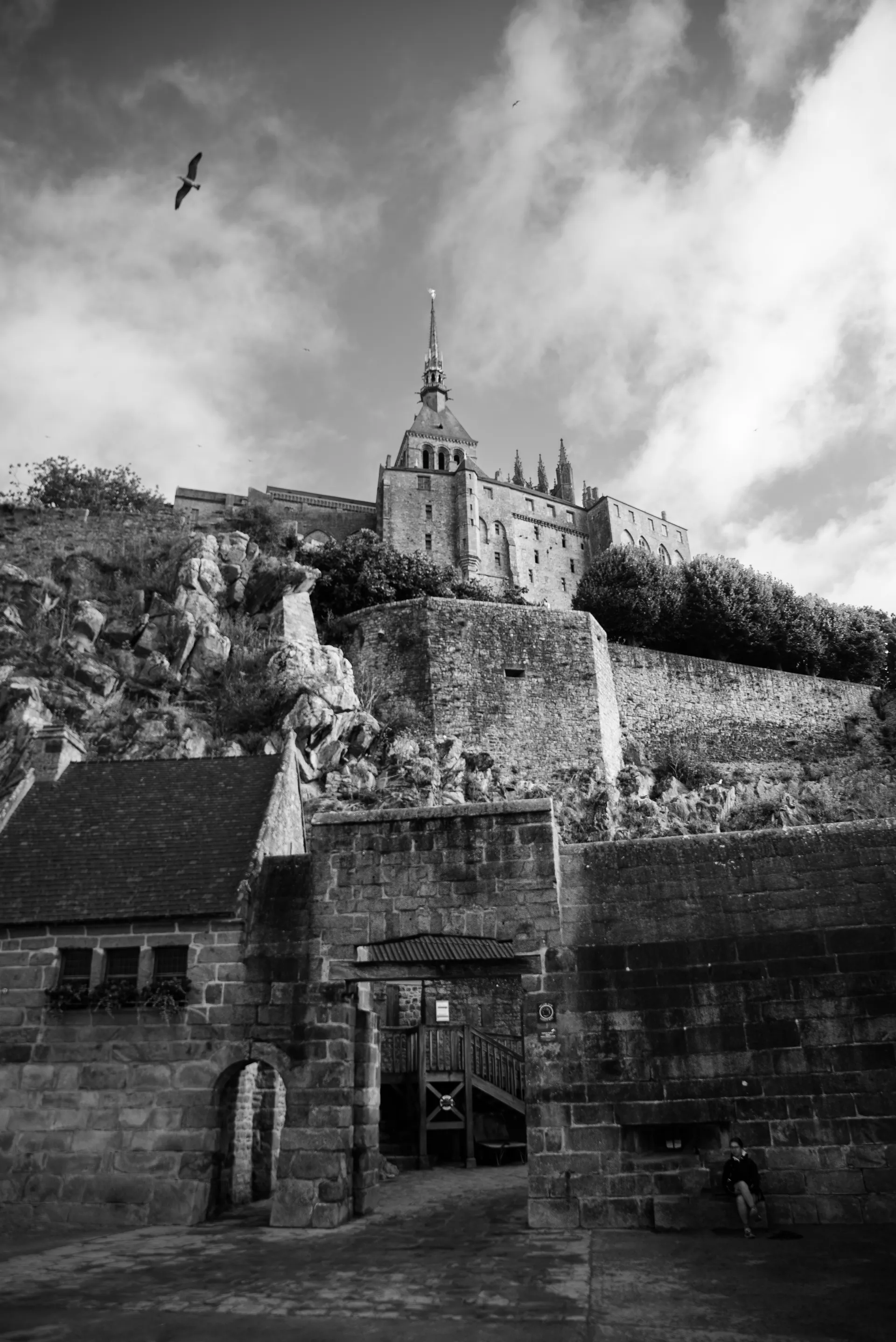 Tirage fine art N&B — Château et maison sur une colline