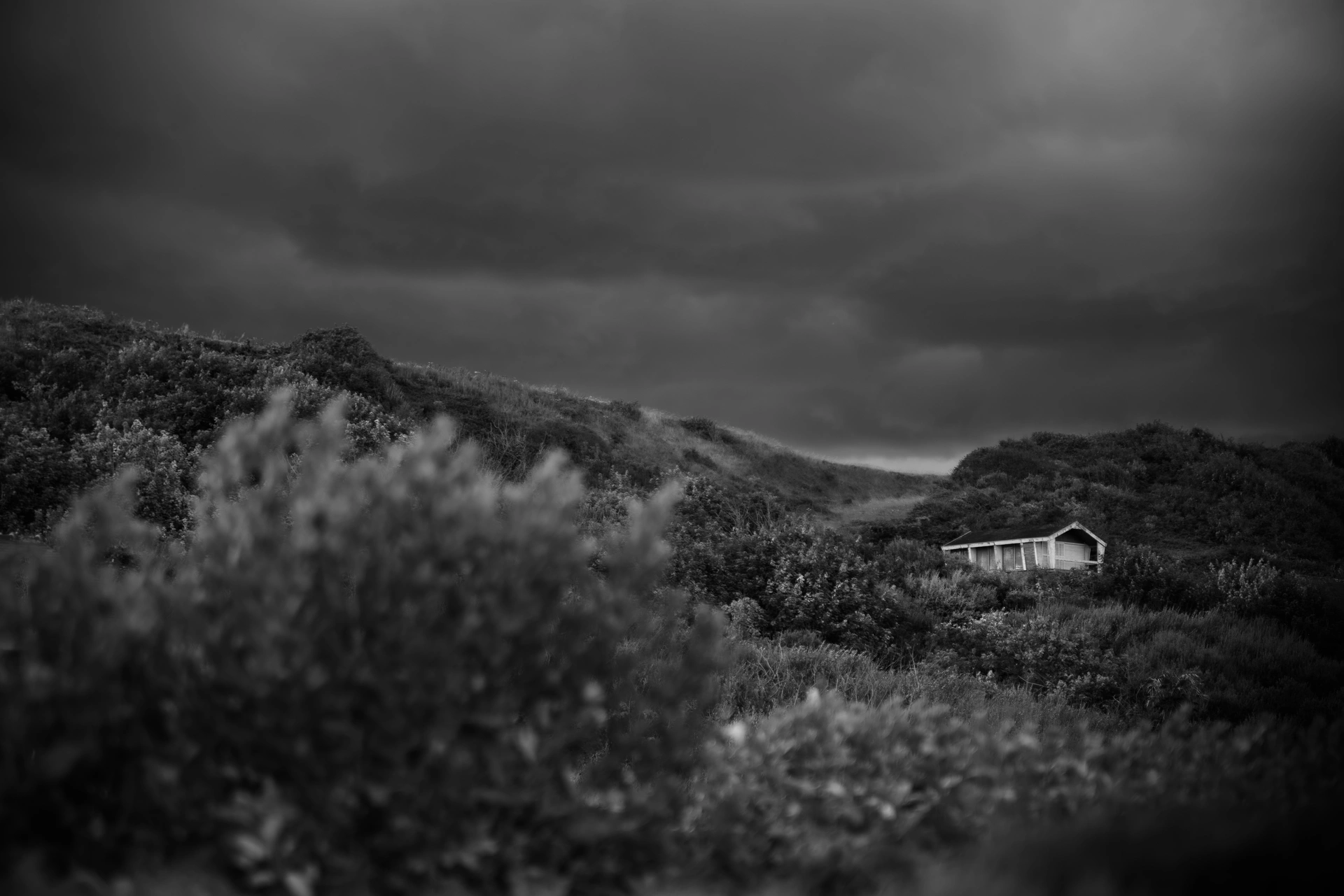 Tirage fine art N&B — Paysage vallonné