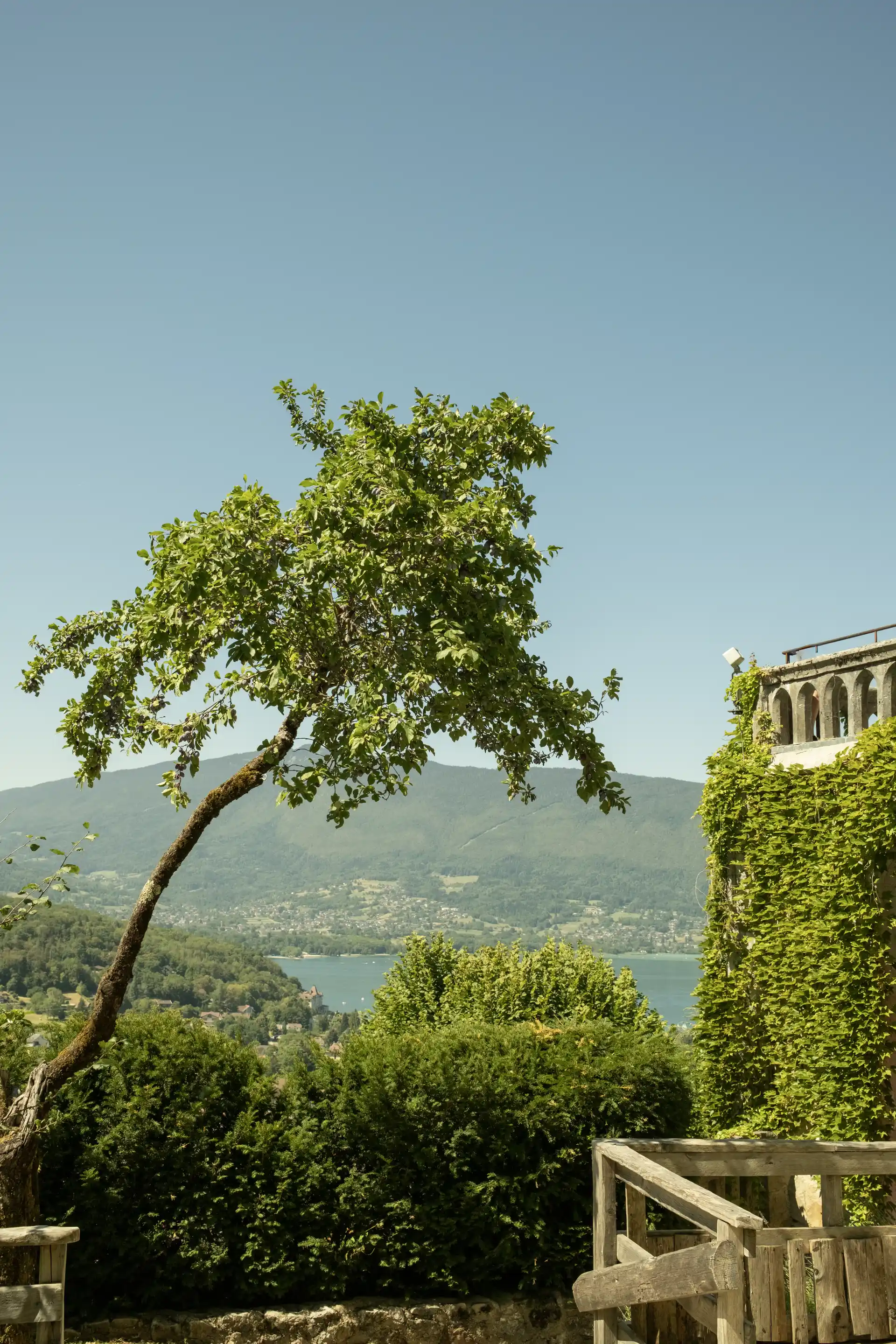 Tirage fine art — Arbre et tour en arrière-plan