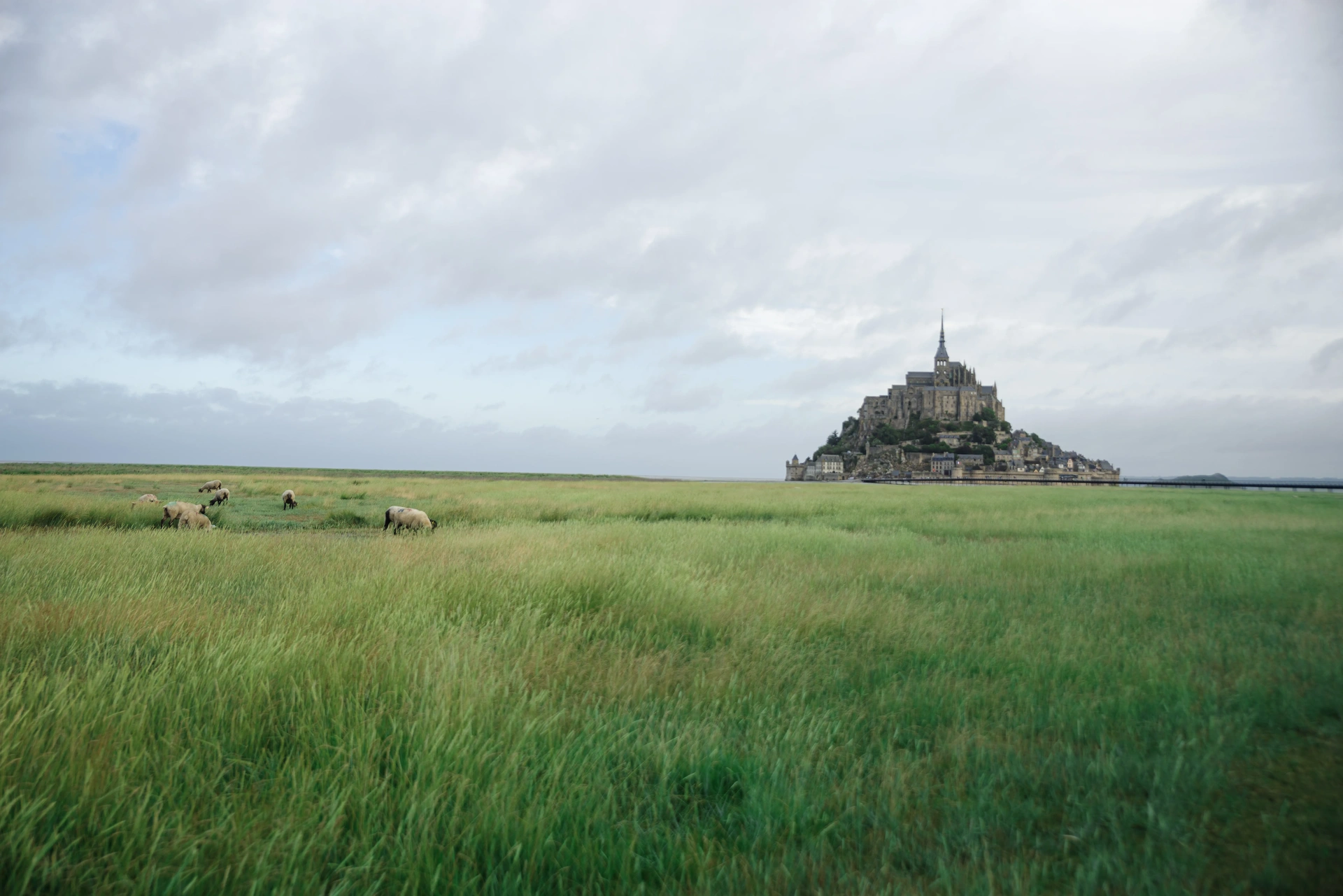 Mont-Saint-Michel dans son écrin de prés salés