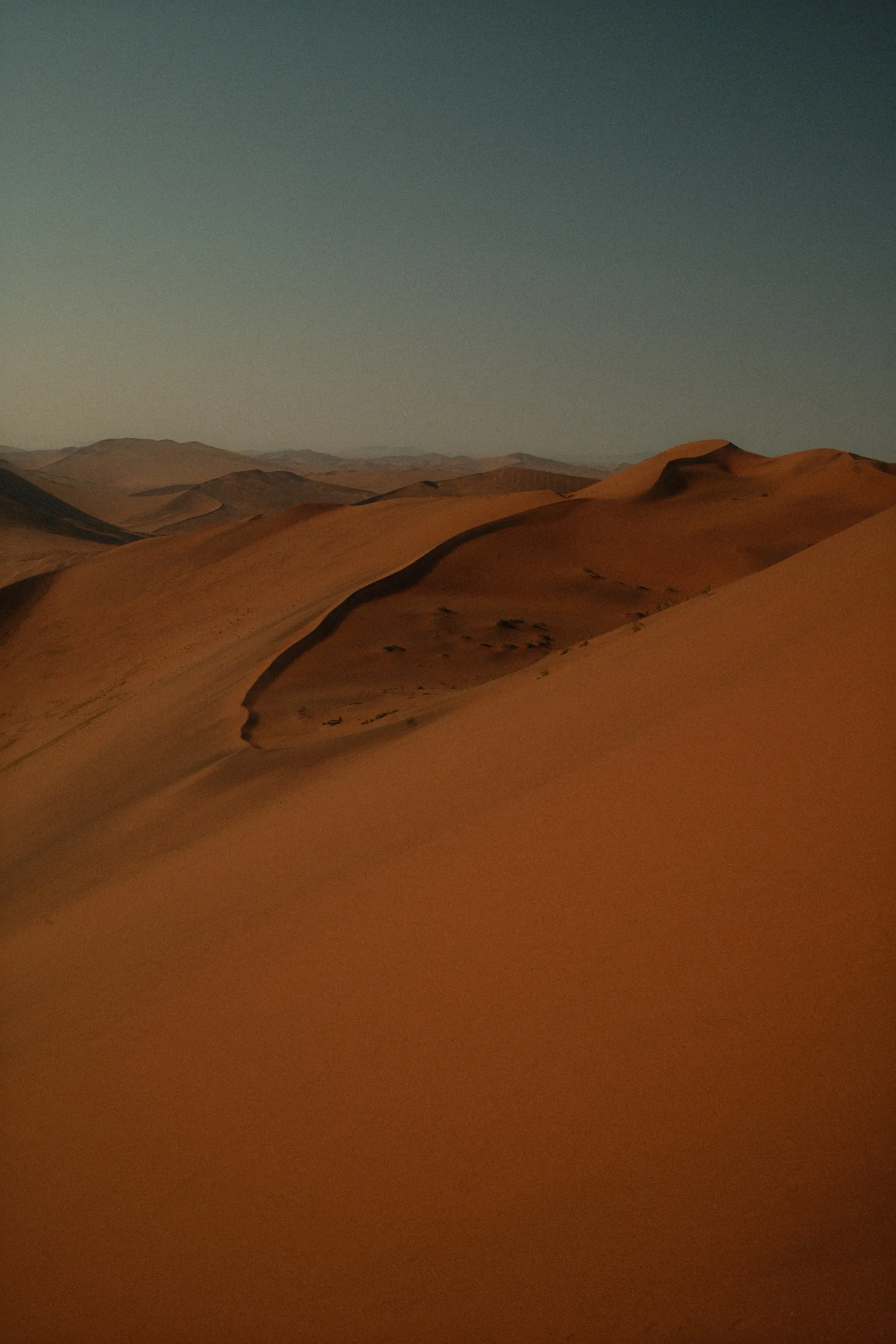 Crête de dune sculptée par le vent, empreintes de pas à perte de vue