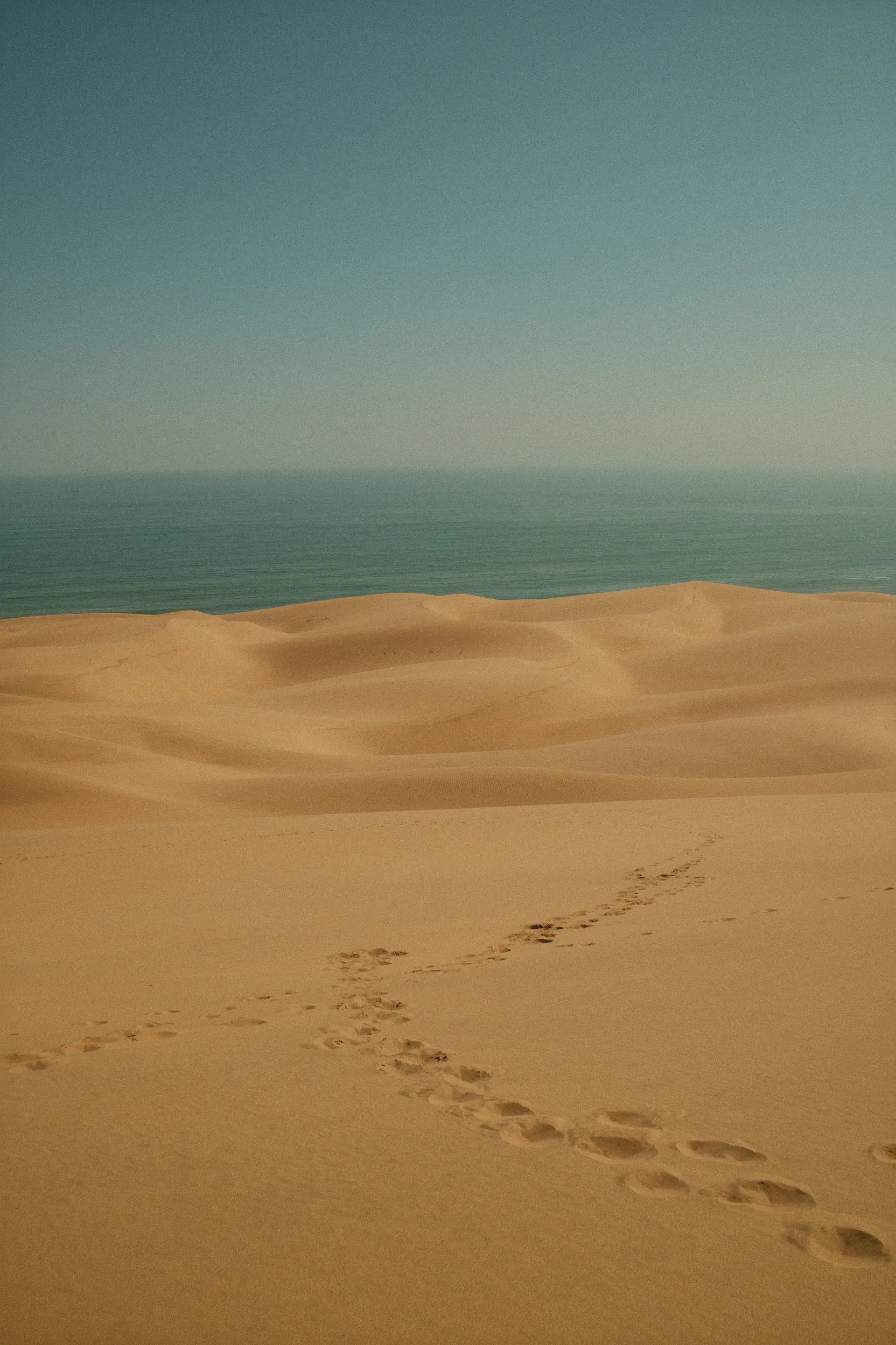 Courbe de plage sur la côte atlantique