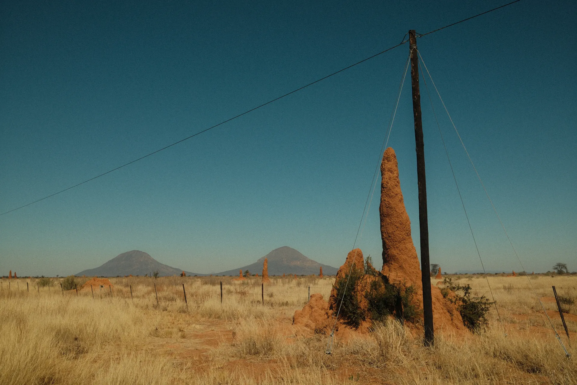 Termitière géante dressée dans la plaine namibienne