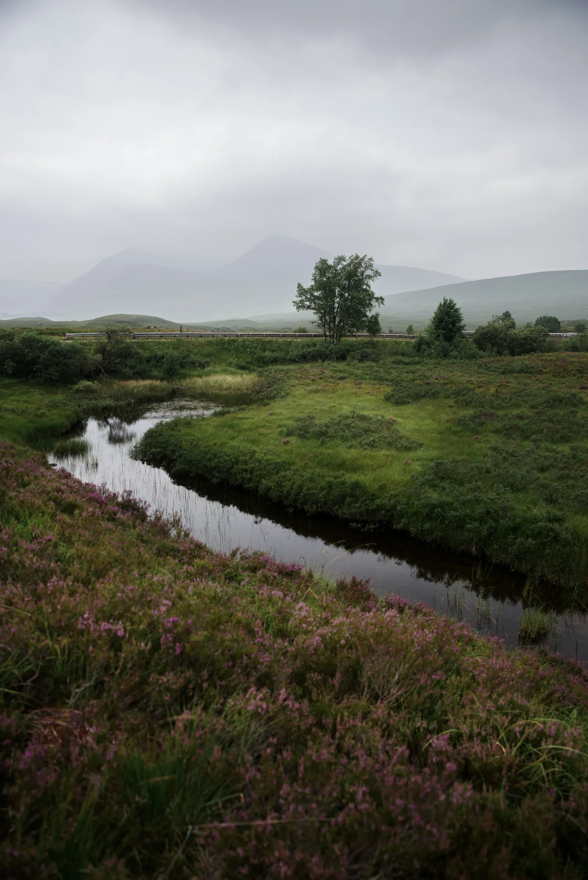Paysage des Highlands