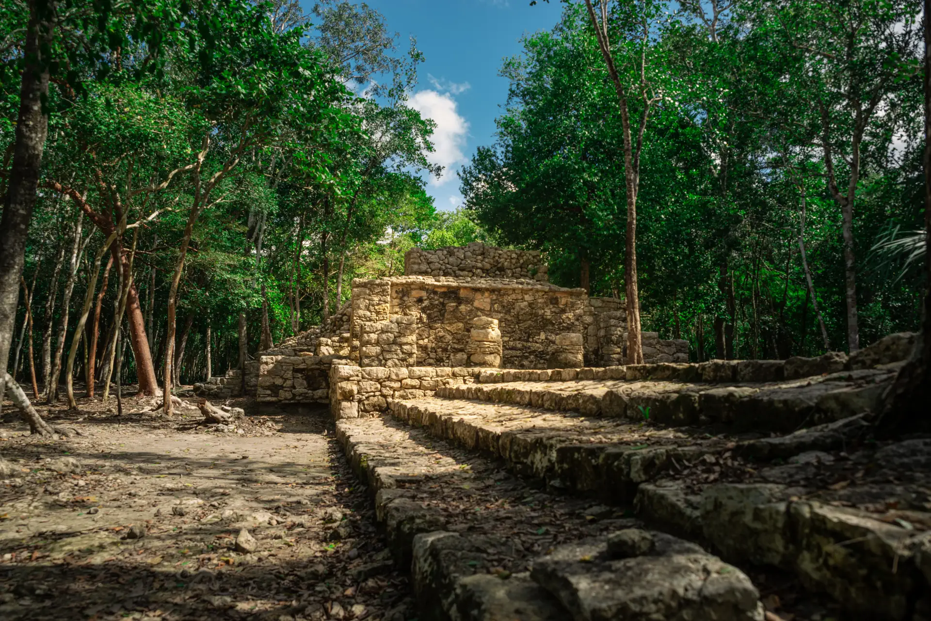 Pyramide maya dans la jungle