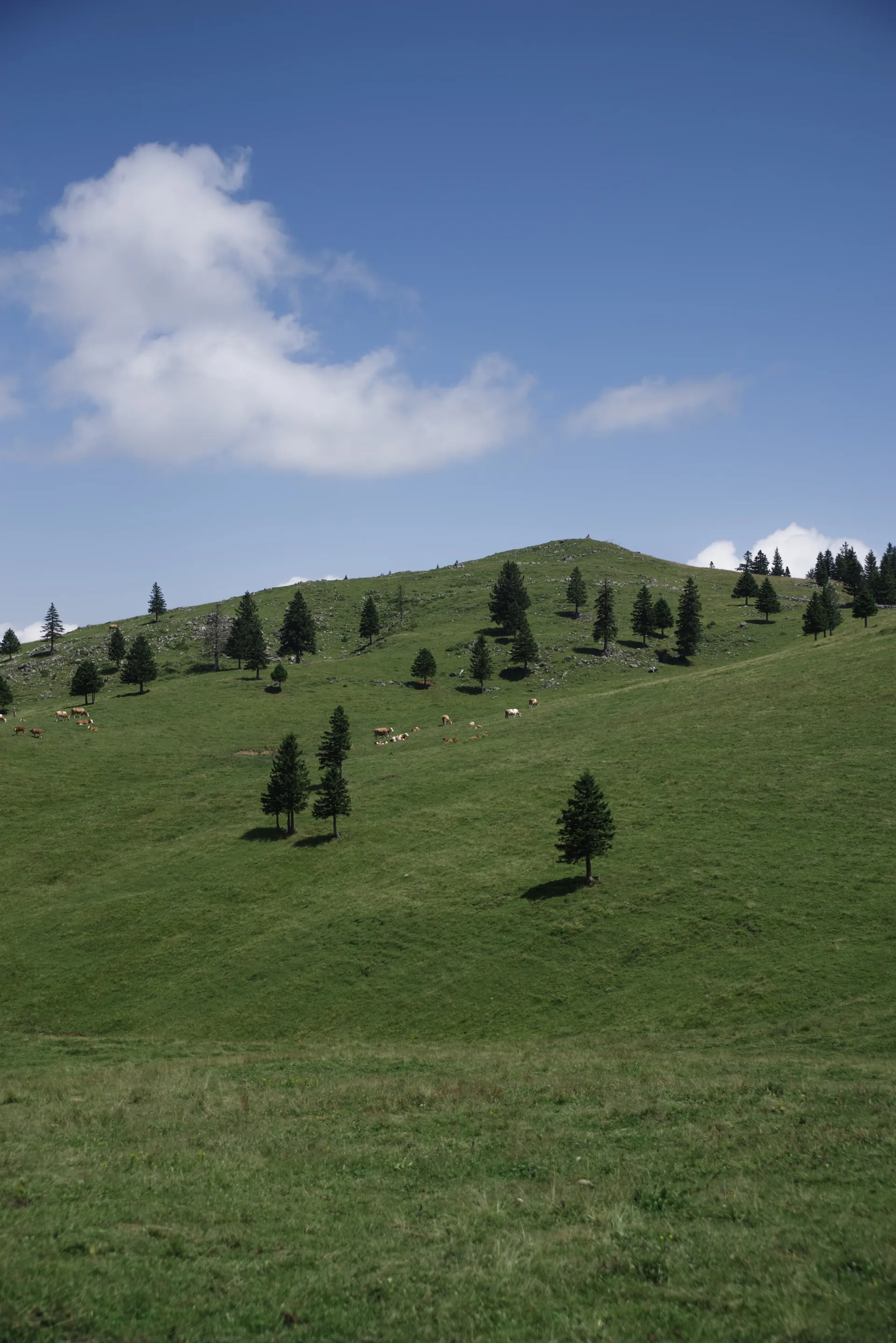 Nuages sur les sommets alpins