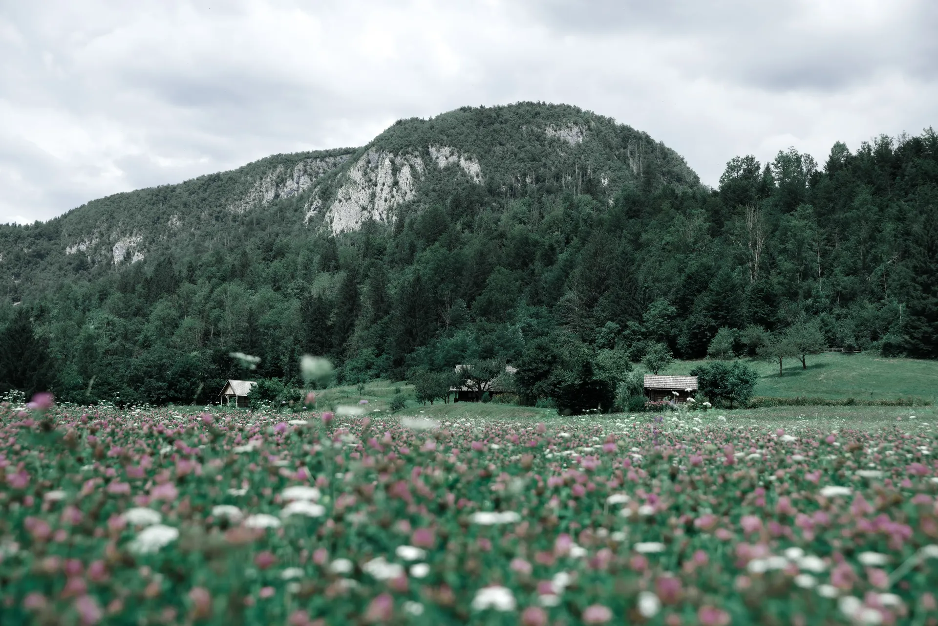 Slovénie 5