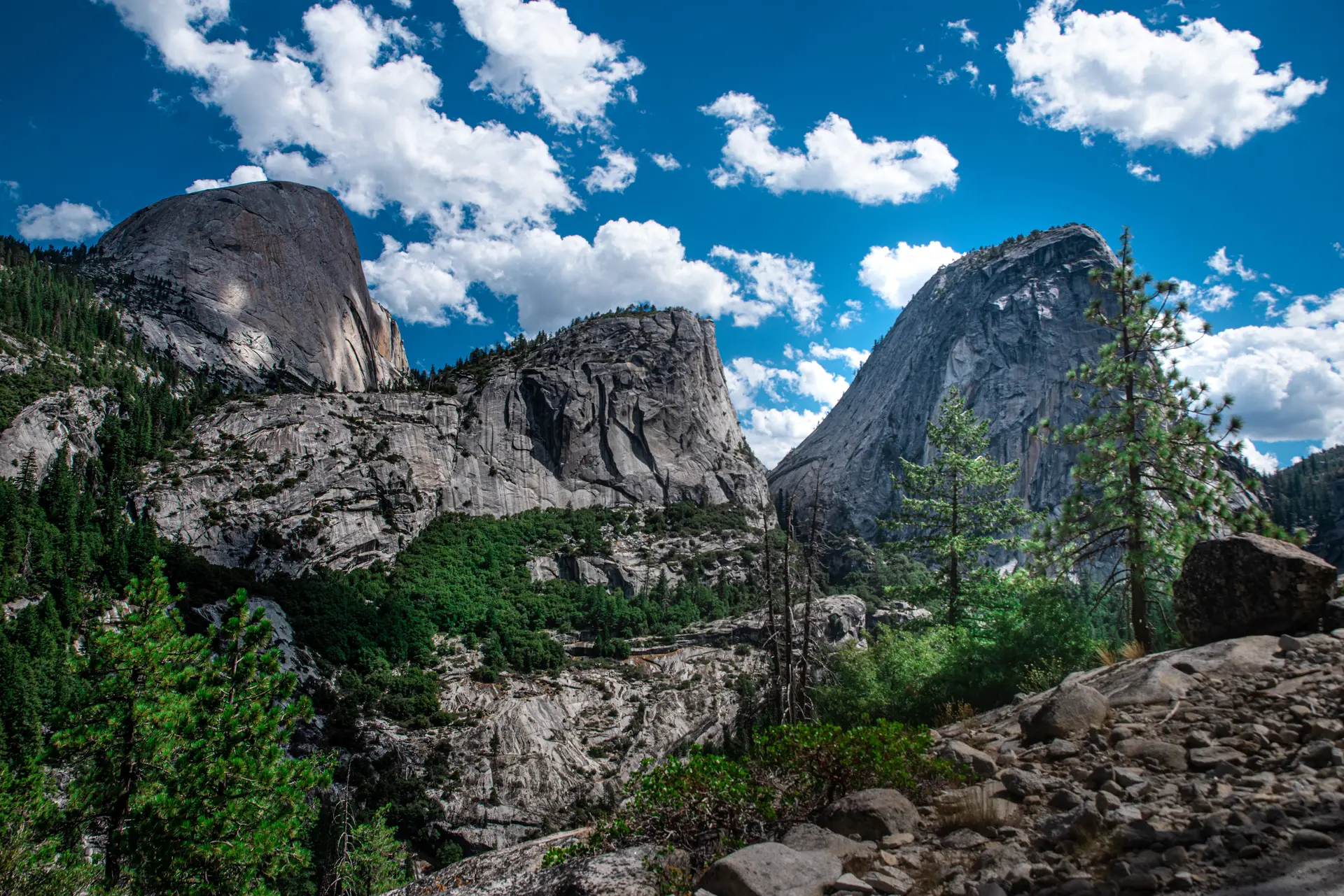 Half Dome dominant la vallée de Yosemite