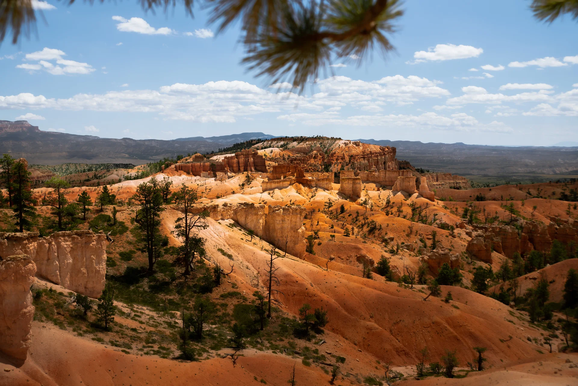 Falaise surplombant les canyons de Canyonlands au crépuscule