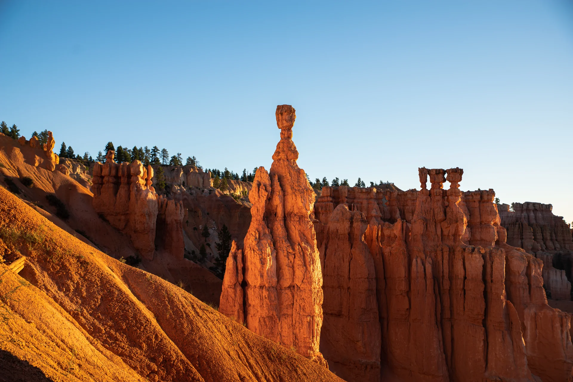 Cheminées de fée de Bryce Canyon au coucher du soleil