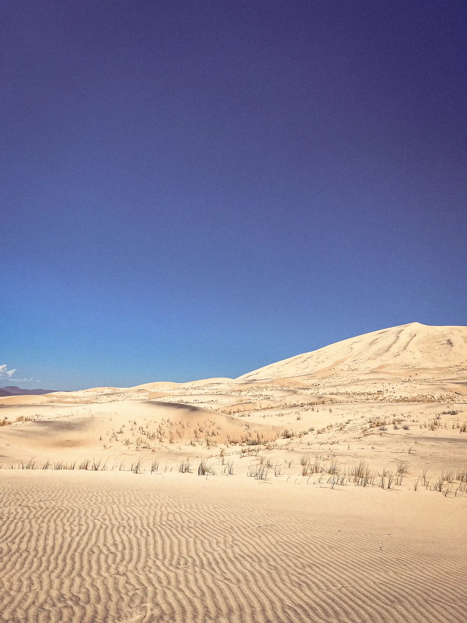 Dunes de sable doré du désert